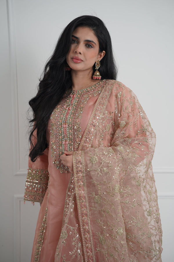 Tehwar - Luxury Organza Outfit with Organza Dupatta - Ready to Wear MC284- Eid Volume 4