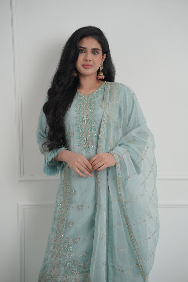 Tehwar - Luxury Organza Outfit - Festive Collection - Ready to Wear - Eid Volume 1