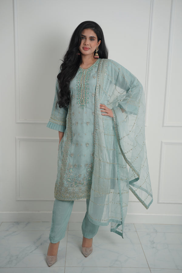 Tehwar - Luxury Organza Outfit - Festive Collection - Ready to Wear - Eid Volume 1