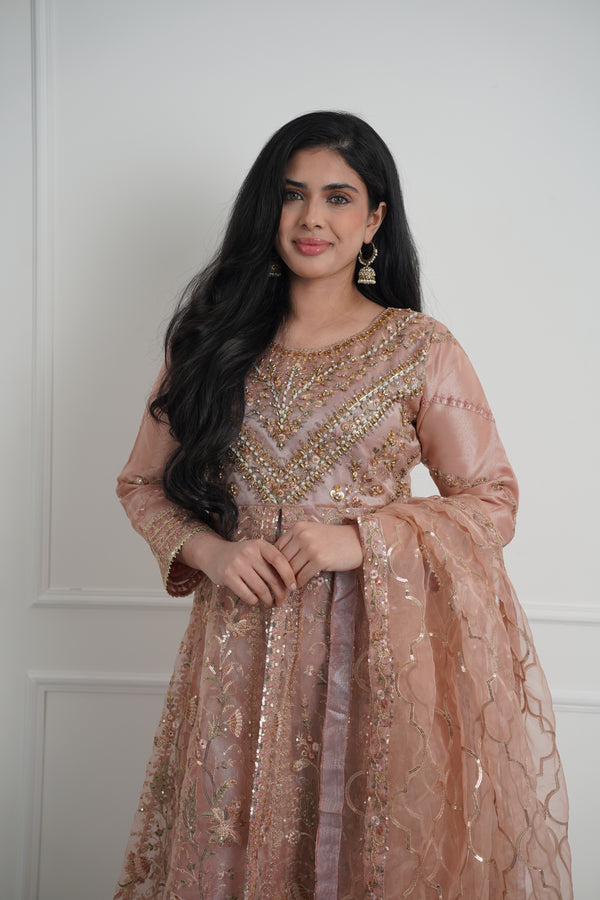 Tehwar - Luxury Organza Maxi  - Ready to Wear pink - SB-Maxi