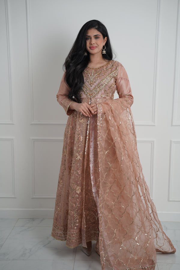 Tehwar - Luxury Organza Maxi  - Ready to Wear pink - SB-Maxi