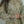 Husan e Jahan - Luxury Festive Collection with  Shararah  - Ready to Wear-MC201