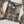Rozi  - Exclusive Lawn  Outfit with Dupatta - Ready to Wear - SD384