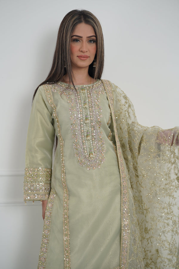 Tehwar - Luxury Organza Outfit with Organza Dupatta - Ready to Wear MC285- Eid Volume 4