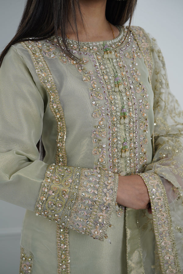 Tehwar - Luxury Organza Outfit with Organza Dupatta - Ready to Wear MC285- Eid Volume 4