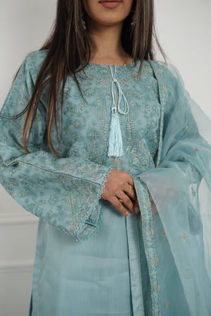 Tehwar - Luxury Organza Outfit with Organza Dupatta - Ready to Wear MC286- Eid Volume 4