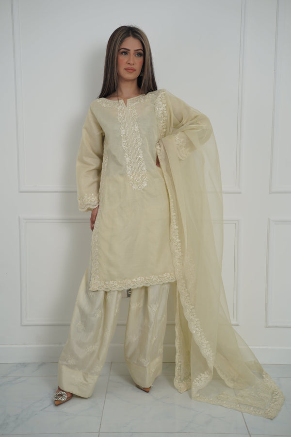 Tehwar - Luxury Organza Outfit with Organza Dupatta - Ready to Wear MC271- Eid Volume 4