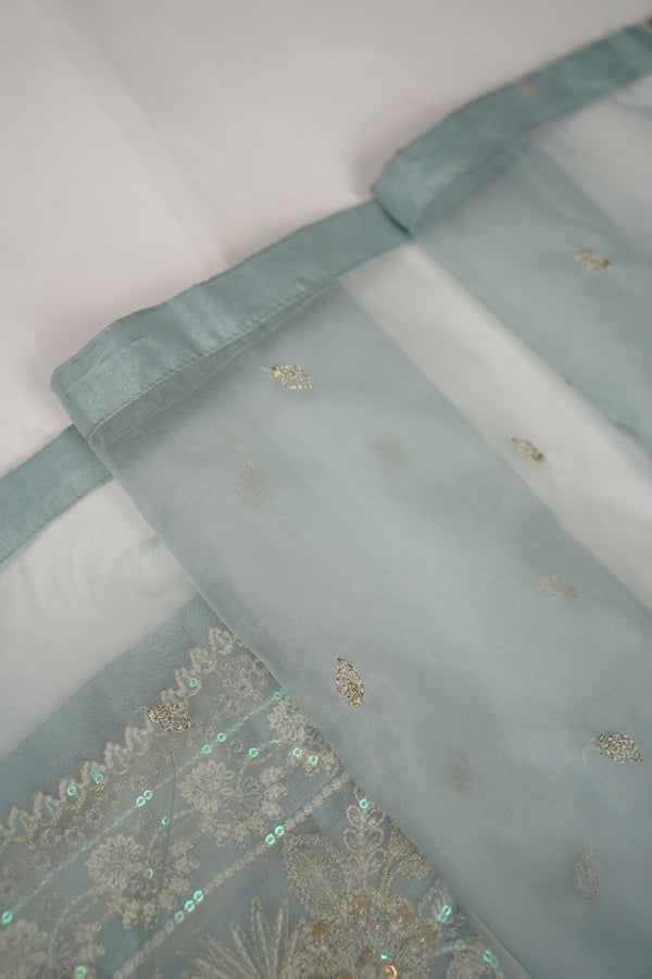 Tehwar - Luxury Organza Outfit - Festive Collection - Ready to Wear - TEHV8D5