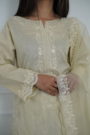 Tehwar - Luxury Organza Outfit with Organza Dupatta - Ready to Wear MC271- Eid Volume 4