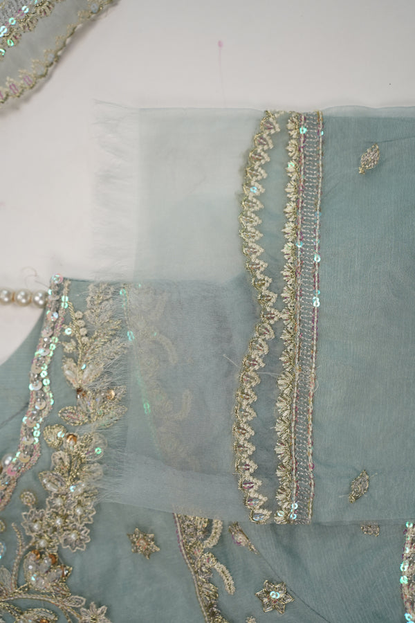 Tehwar - Luxury Organza Outfit - Festive Collection - Ready to Wear - TEHV8D5