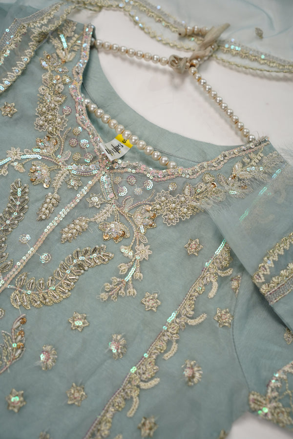 Tehwar - Luxury Organza Outfit - Festive Collection - Ready to Wear - TEHV8D5