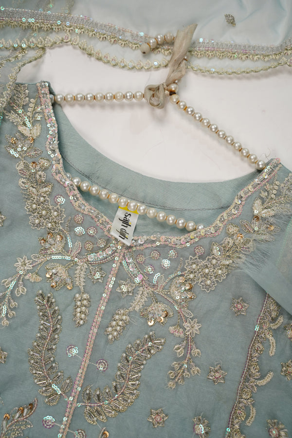 Tehwar - Luxury Organza Outfit - Festive Collection - Ready to Wear - TEHV8D5