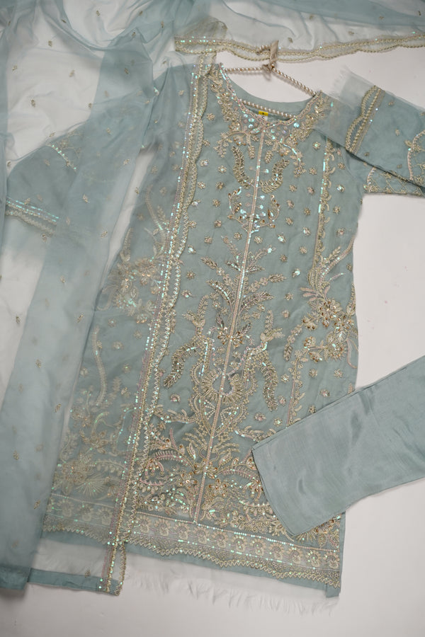 Tehwar - Luxury Organza Outfit - Festive Collection - Ready to Wear - TEHV8D5