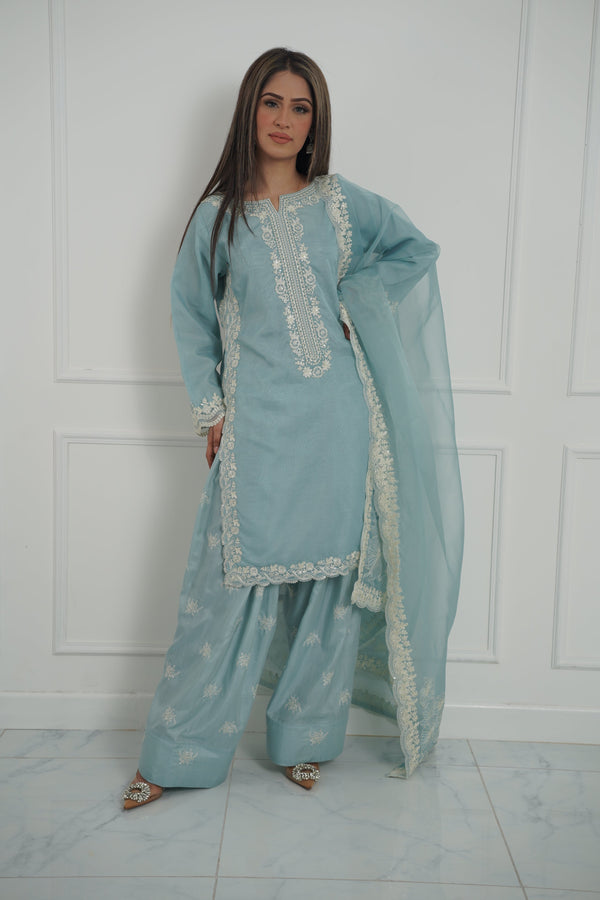 Tehwar - Luxury Organza Outfit with Organza Dupatta - Ready to Wear MC272- Eid Volume 4