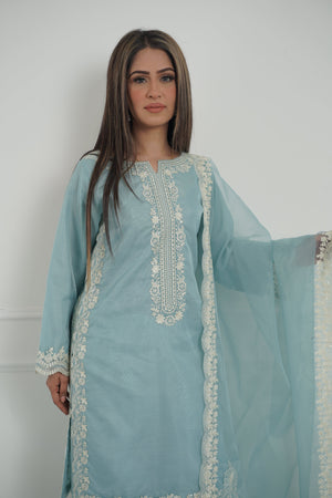 Tehwar - Luxury Organza Outfit with Organza Dupatta - Ready to Wear MC272- Eid Volume 4