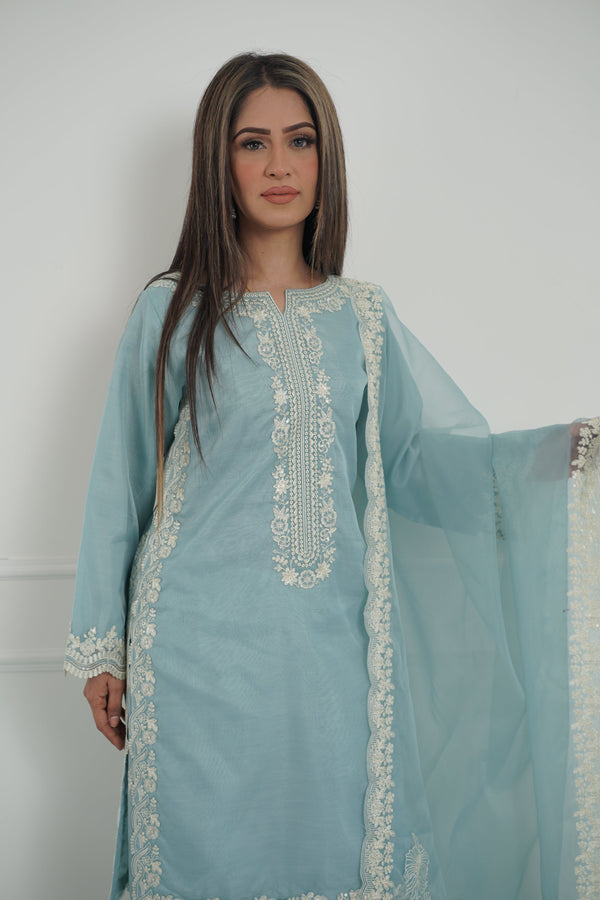 Tehwar - Luxury Organza Outfit with Organza Dupatta - Ready to Wear MC272- Eid Volume 4