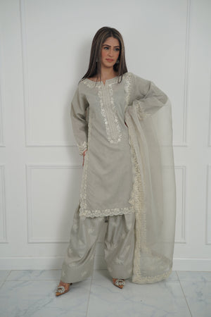 Tehwar - Luxury Organza Outfit with Organza Dupatta - Ready to Wear MC273- Eid Volume 4