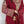 Chiffon Outfit with Chiffon Dupatta and Plazzo  - Ready to Wear - SD254