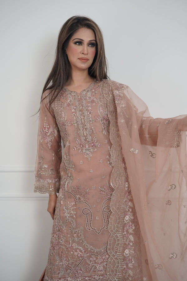 Tehwar - Luxury Organza Outfit with Organza Dupatta - Ready to Wear MC295- Eid Volume 4