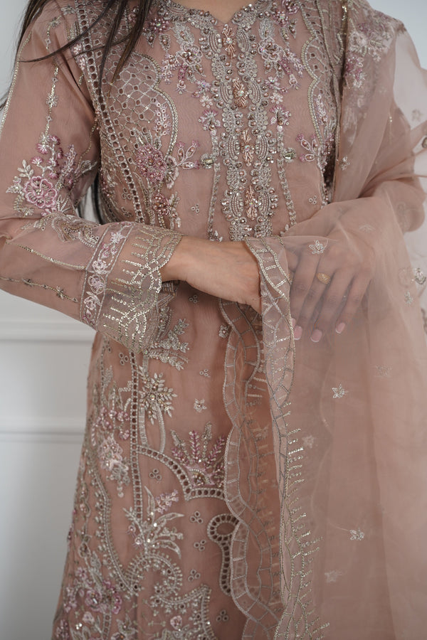 Tehwar - Luxury Organza Outfit with Organza Dupatta - Ready to Wear MC295- Eid Volume 4