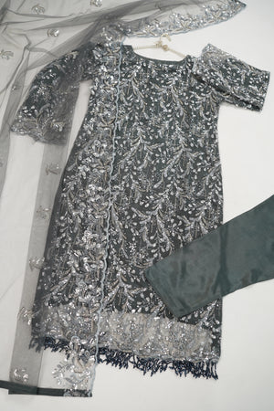 Luxury Formals - Kat Dana Heavily Embroidered Net (Long Shirts) - Ready to Wear - V1 - D10