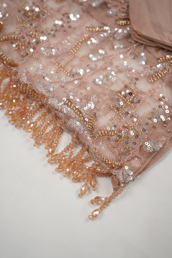 Luxury Formals - Kat Dana Heavily Embroidered Net (Long Shirts) - Ready to Wear - V1 - D8