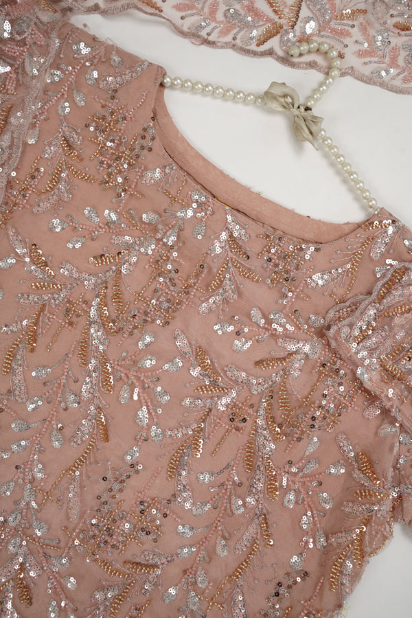 Luxury Formals - Kat Dana Heavily Embroidered Net (Long Shirts) - Ready to Wear - V1 - D8