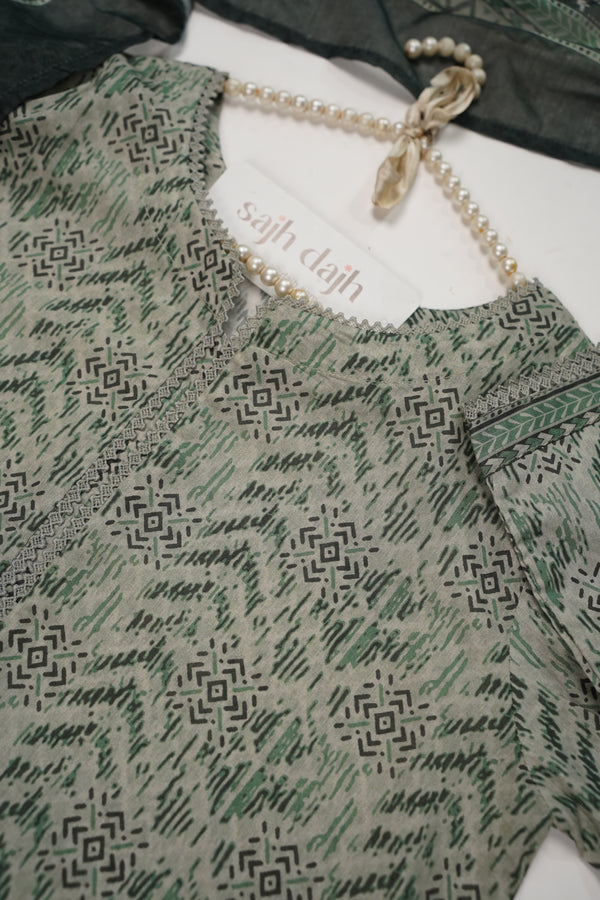 Bin Saeed Originals - Lawn Outfit with Lawn Dupatta - Ready to wear PD090