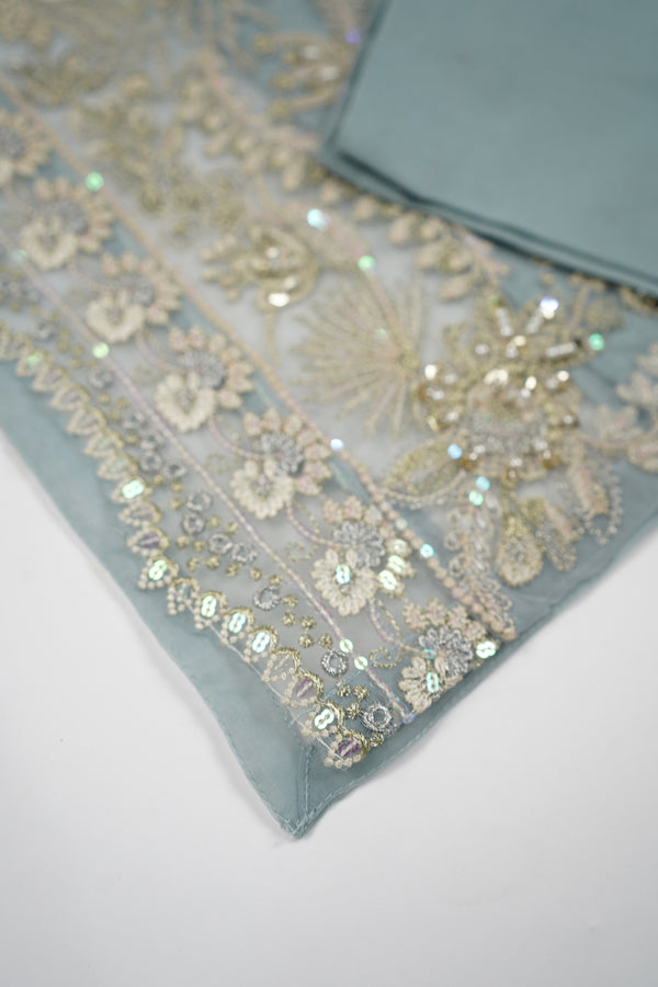 Tehwar - Luxury Organza Outfit - Festive Collection - Ready to Wear - TEHV8D5