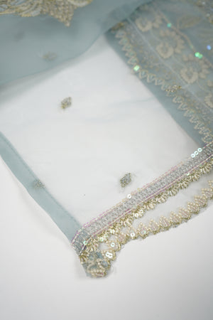 Tehwar - Luxury Organza Outfit - Festive Collection - Ready to Wear - TEHV8D5