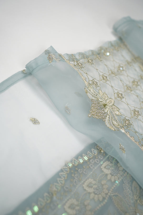 Tehwar - Luxury Organza Outfit - Festive Collection - Ready to Wear - TEHV8D5
