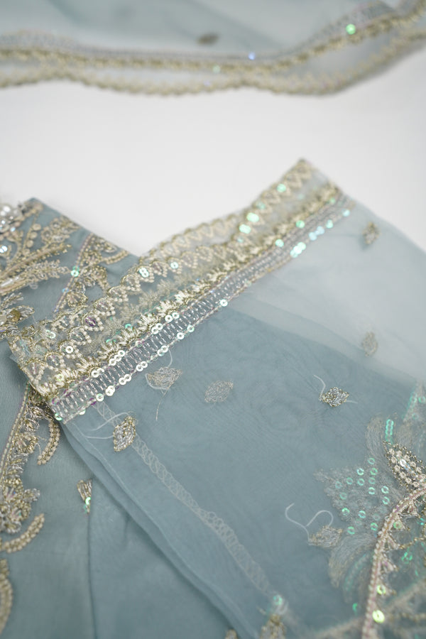 Tehwar - Luxury Organza Outfit - Festive Collection - Ready to Wear - TEHV8D5
