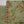 Bin Saeed Originals  - Exclusive Lawn  Outfit with Dupatta - Ready to Wear - SD398