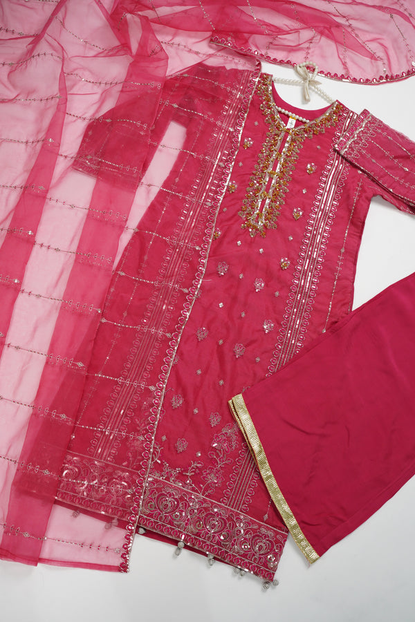 Tehwar - Luxury Organza Outfit - Festive Collection - Ready to Wear - V5 - D7 - Eid25 - 07