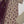Bin Saeed Originals  - Exclusive Lawn  Outfit with Dupatta - Ready to Wear - SD397