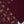 Bin Saeed Originals  - Exclusive Lawn  Outfit with Dupatta - Ready to Wear - SD400