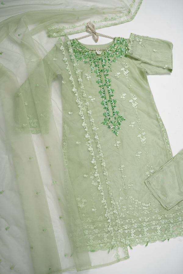 Tehwar - Luxury Organza Outfit - Festive Collection - Ready to Wear - V6 - D3 - Eid25 - 03