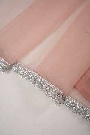 Khaas - Luxury  Organza Outfit with Organza Dupatta - Hand Work - Ready to Wear - SD436