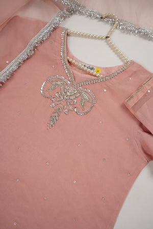 Khaas - Luxury  Organza Outfit with Organza Dupatta - Hand Work - Ready to Wear - SD436