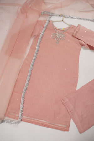 Khaas - Luxury  Organza Outfit with Organza Dupatta - Hand Work - Ready to Wear - SD436