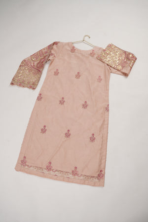 Tehwar - Luxury Organza Outfit with Organza Dupatta - Ready to Wear SD437