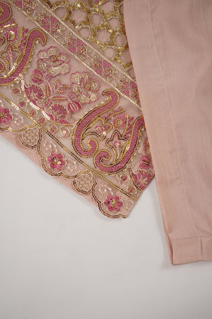 Tehwar - Luxury Organza Outfit with Organza Dupatta - Ready to Wear SD437