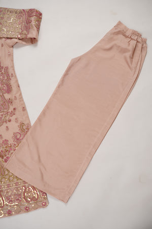 Tehwar - Luxury Organza Outfit with Organza Dupatta - Ready to Wear SD437