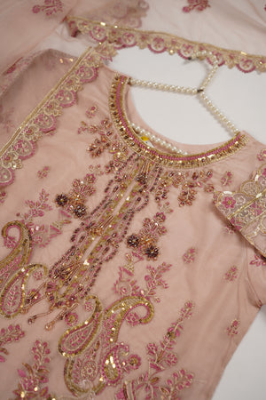 Tehwar - Luxury Organza Outfit with Organza Dupatta - Ready to Wear SD437