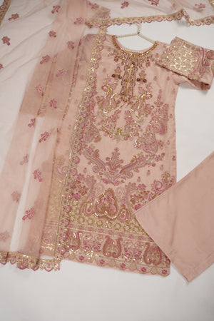 Tehwar - Luxury Organza Outfit with Organza Dupatta - Ready to Wear SD437