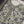 Rozi  - Exclusive Lawn  Outfit with Dupatta - Ready to Wear SD410