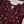 Rozi  - Exclusive Lawn  Outfit with Dupatta - Ready to Wear SD433
