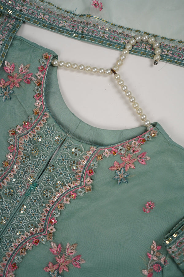 Tehwar - Luxury Organza Outfit with Organza Dupatta - Ready to Wear MC257 - Eid Volume 1