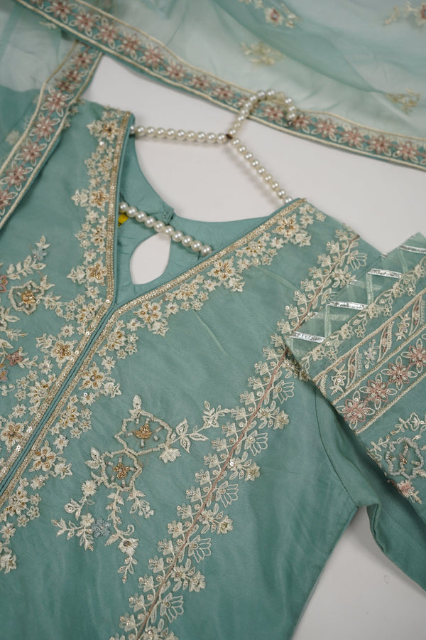 Tehwar - Luxury Organza Outfit with Organza Dupatta - Ready to Wear MC255 - Eid Volume 1