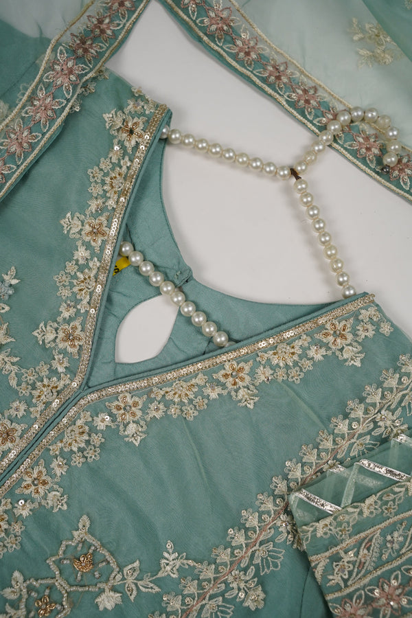 Tehwar - Luxury Organza Outfit with Organza Dupatta - Ready to Wear MC255 - Eid Volume 1